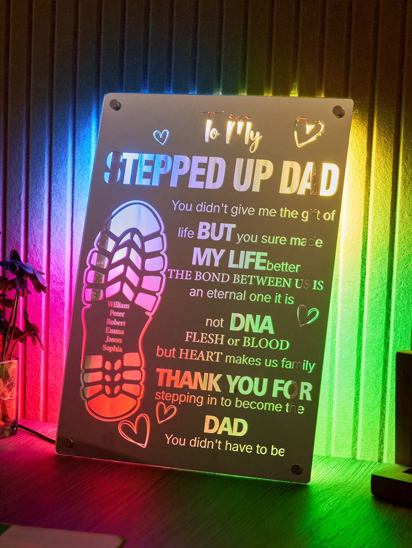 Stepped Up Dad Mirror Light