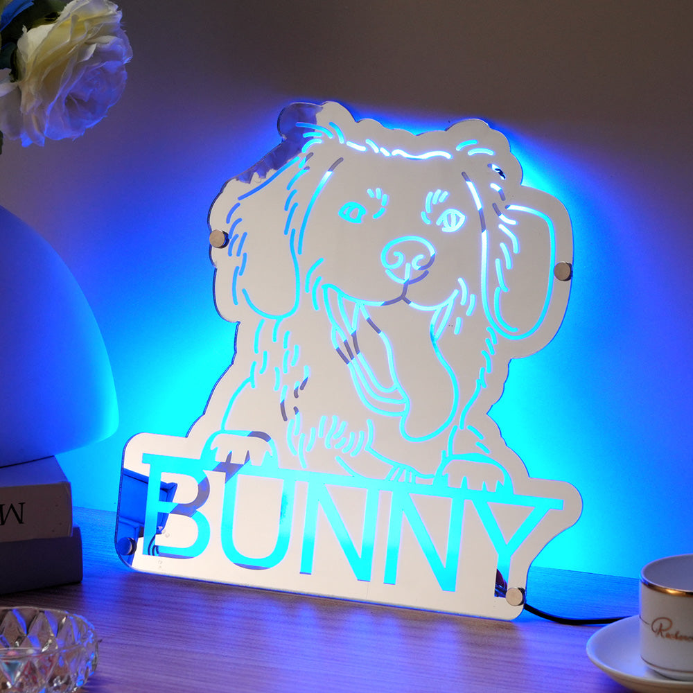 Personalized Pet Photo Mirror Light