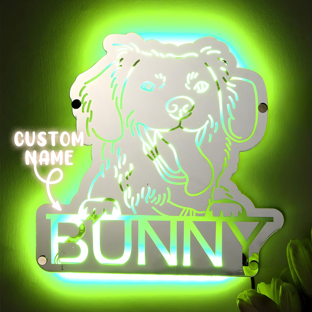 Personalized Pet Photo Mirror Light