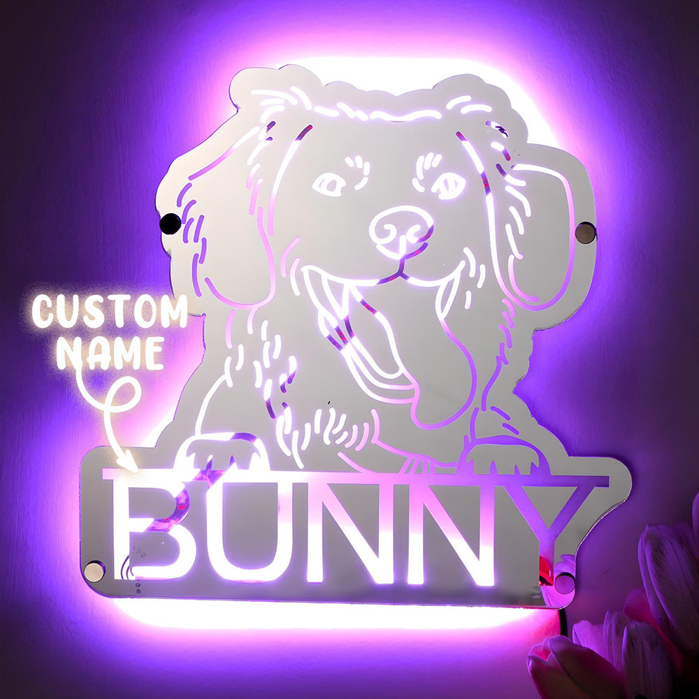 Personalized Pet Photo Mirror Light