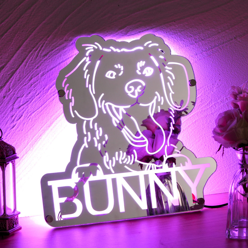 Personalized Pet Photo Mirror Light